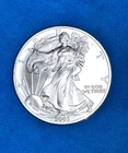 2003 American Eagle Authentic .999 Pure, Fine 1 oz. Silver Dollar