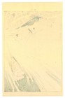 Red Flanked Bluetail - Woodblock Print by Imao Keinen Meiji Period — photo 2
