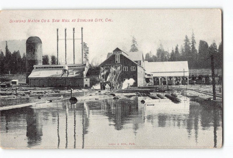 Stirling City California CA Postcard 1910 Diamond Match Co.'s Saw Mill