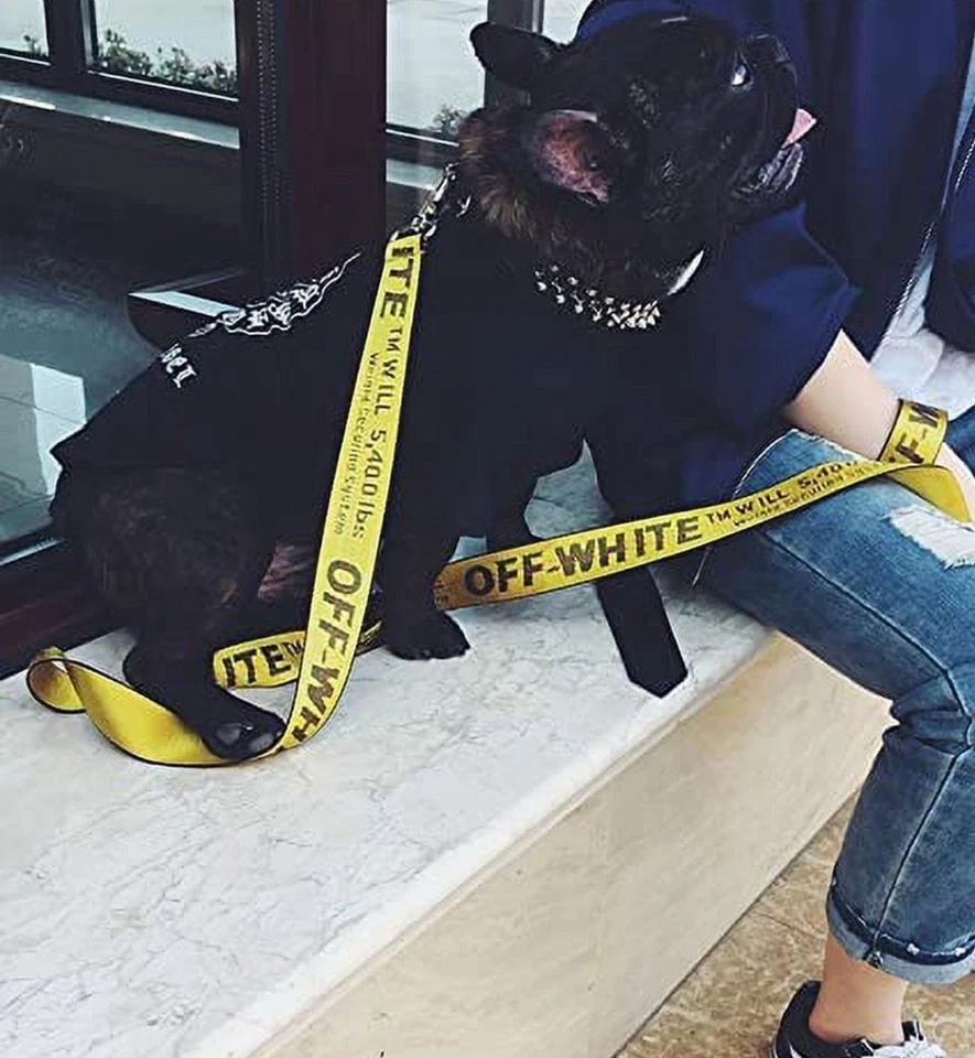 Correa y collar ajustable estampado BLANCO ROTO amarillo para mascotas y perros ✅ Foto 4 de 4