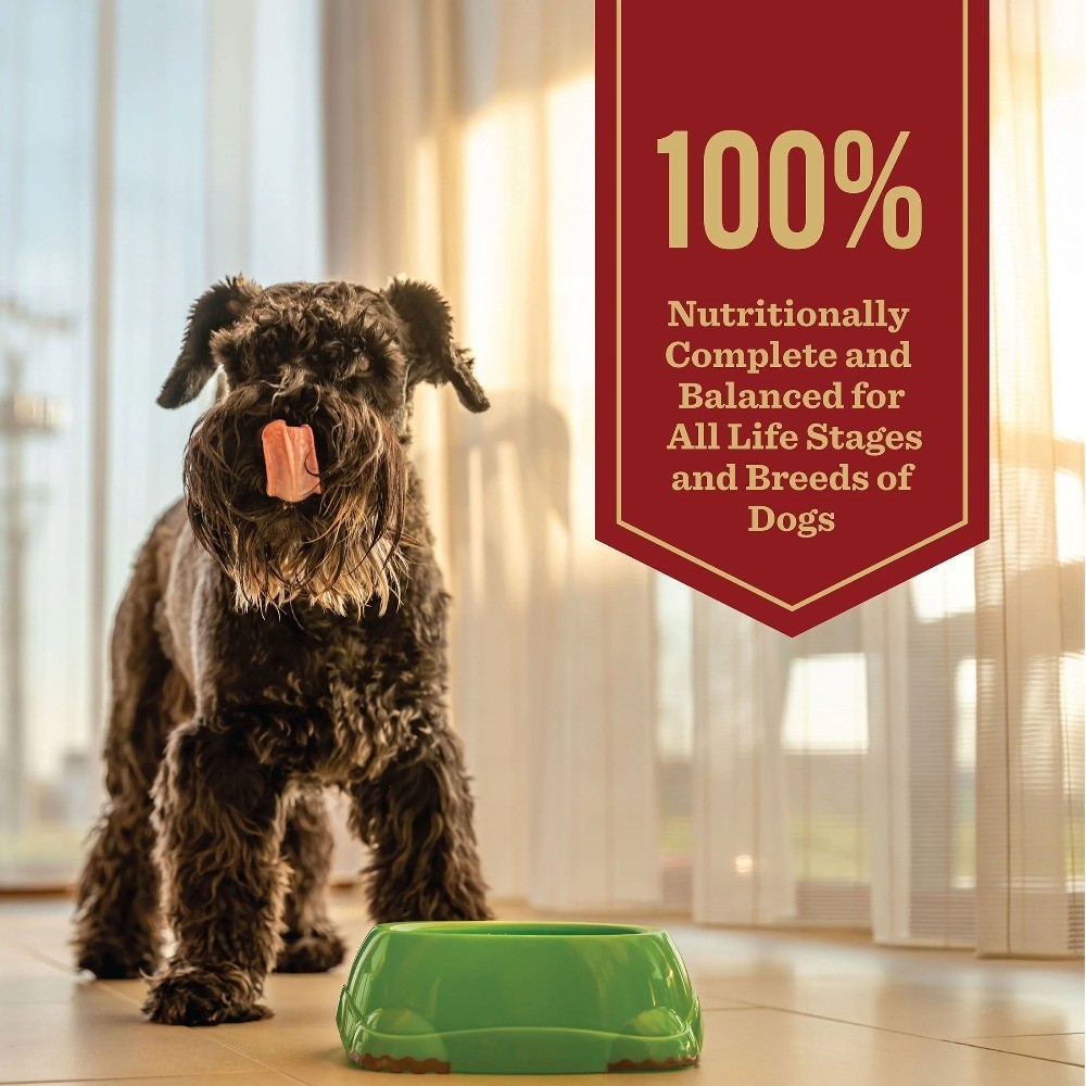 Beef and Brown Rice Recipe Dog Food - 6lb All Natural Healthy Dry Kibble for