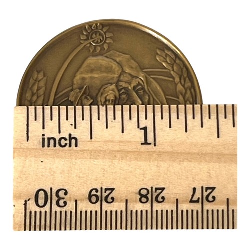 Medalla Danbury de bronce del bicentenario de Dakota del Norte de la Revolución Americana de 1889 - Imagen 5 de 6