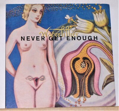 Waterlillies  - Never Get Enough - 12'' Maxi Single Promo Record Vinyl Near Mint