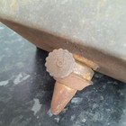 Bild 6 von 10