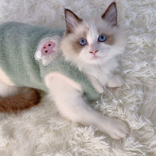 Cats Accessories Pets Warm Kittens Clothes for Winter Kitten Small Kitten Stuff