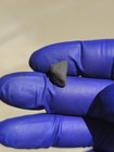 Boutel Fil Meteorite 1.095g Individual | Personal Collection | Oriented |COA — photo 8
