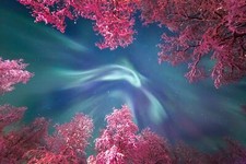 Landscape nature trees forest aurorae long exposure Custom Gaming Mat Desk