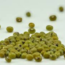 Mung bean natural 100 organic healthy green grams Sri lanka