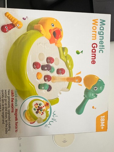 Magnetic Bird Feeding Game Woodpecker Worm Toy Montessori Fine Moto... Fast Ship