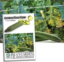 Armenian Dark Green Cucumber Seeds (Cucumis Sativus) – 100+ Non-Gmo Heirloom See