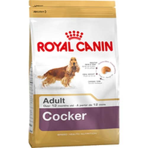 Nourriture Royal Canin Adulte Oiseaux 3 Kg