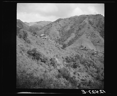 Photo:San Juan Ponce Puerto Rico 1938 Landscape Mountain Road View