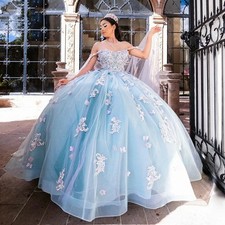 Blue 3D Flowers Bow Ball Gown Quincenara Dresses Appliques Lace Corset Sweet 16