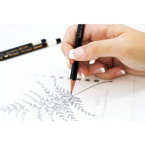 Tombow 51514 MONO Drawing Pencil, 4H, Graphite 12-Pack Mono 4H - Picture 3 of 3