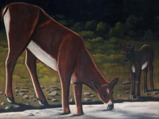 stunning  oil  painting  handpainted on canvas-deer with a fawn by the brook