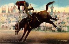 Vintage Postcard Crazy Snake up to one of his Tricks H6