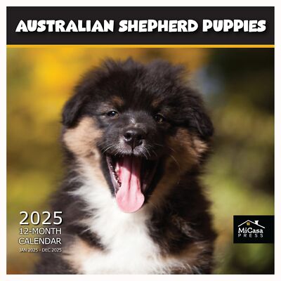 Australian Shepherd Puppies 2025 Wall Calendar 12 Month | 12'' x 24'' Open