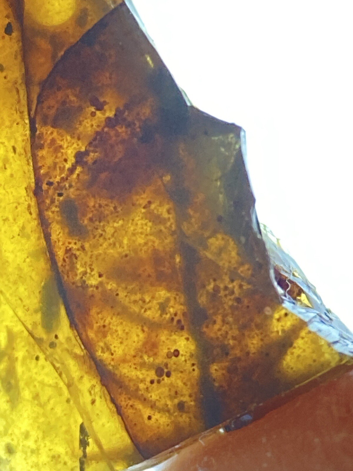 Picture 5 of 5