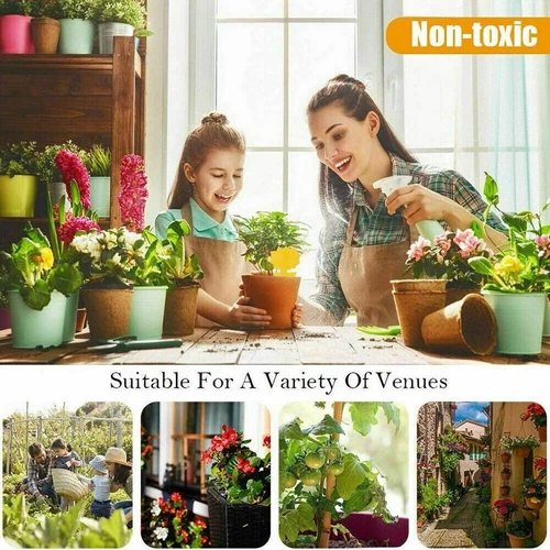 20pcs Sticky Fruit Fly Traps, Fungus Gnat Killer Trap use for Indoor Outdoor - Picture 11 of 23