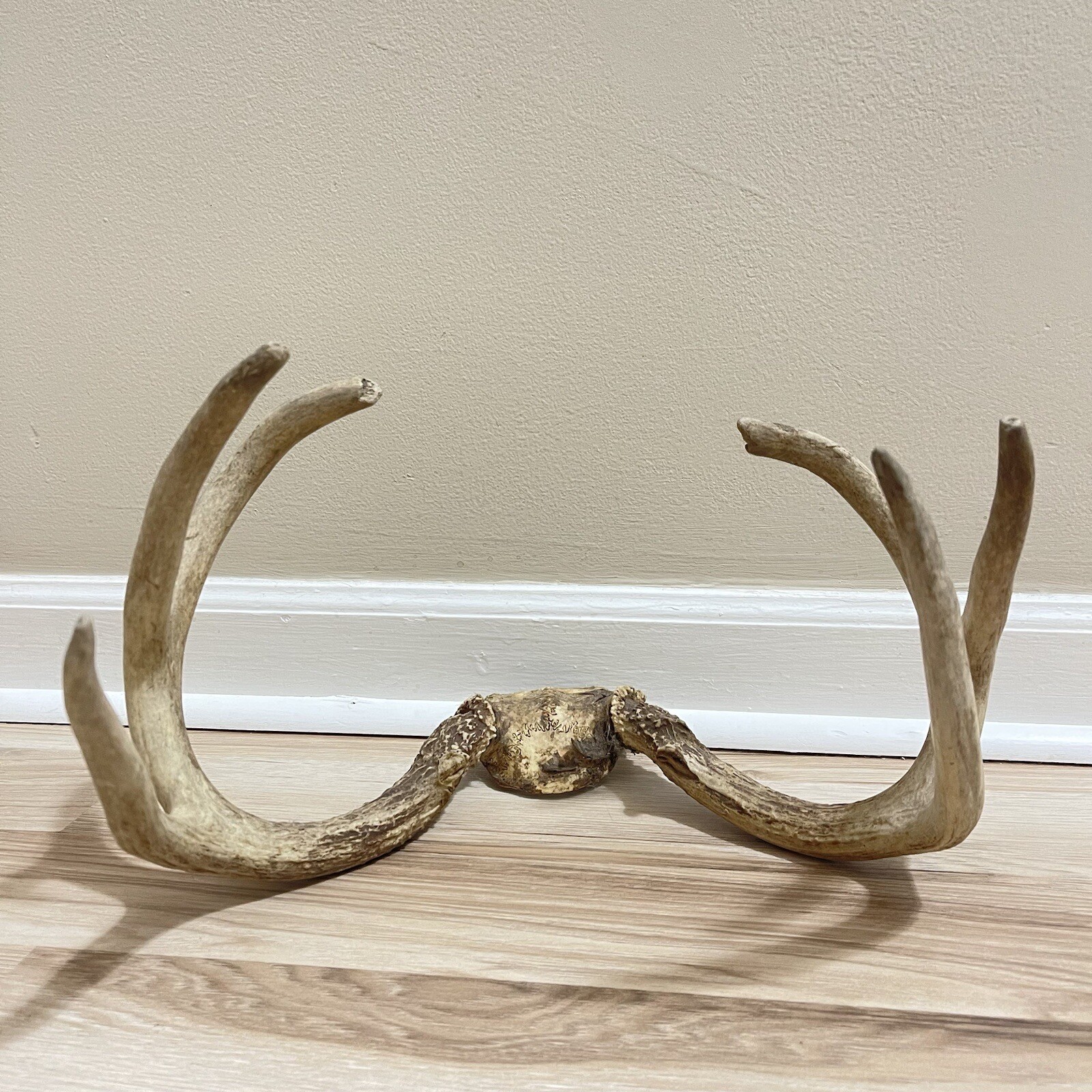 Picture 4 of 24