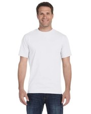 Hanes 5280 Unisex Adult Comfort Soft Crew Neck Short Sleeve Tee T-Shirt