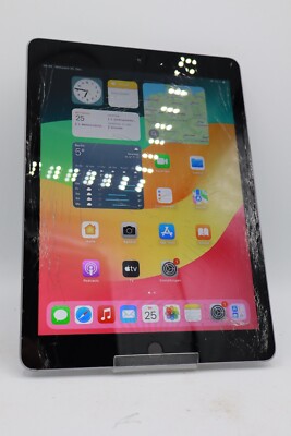 Apple iPad 6.Gen 2018 32GB WiFi  Wlan Space Grau A1893 Displayschaden #5184