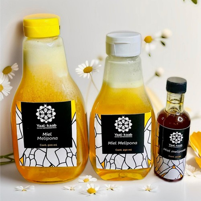 #ad 100% PURE MELIPONA RAW STINGLESS BEE HONEY NOT DILUTED FOOD GRD BOTTLE $159.99