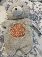 Ingenuity Nate Teddy Bear Premium Soft Plush Soothing Bean Bag Lovey Security