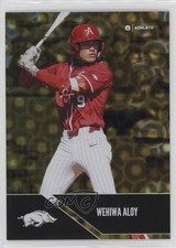 2025 University of Arkansas Razorbacks Parallel Gold Wehiwa Aloy #P-1 1by6