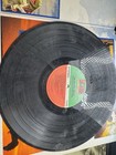 Foto 7 di 8