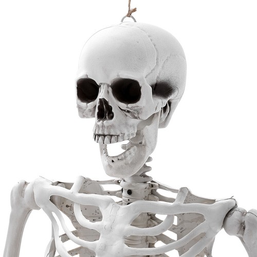 165cm Skeleton Full Size Poseable Human Joints Halloween PartyProp Haunted House - Picture 8 of 20