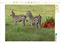 Calvendo Puzzle Zebra | 1000 Pieces, Finished Size 25.2 × 18.9 In (64 × 48 Cm) |