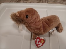 TY Beanie Baby Paul the Walrus 02/23/99