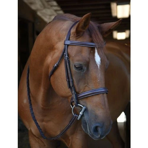 Black Oak by KL Select Poppy Bridle - Thumbnail 5