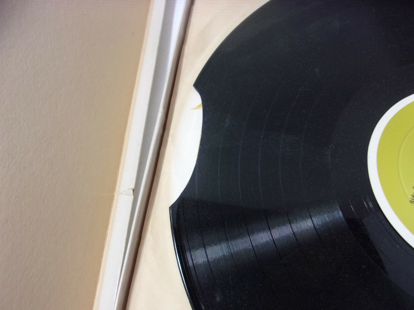 Picture 5 of 5