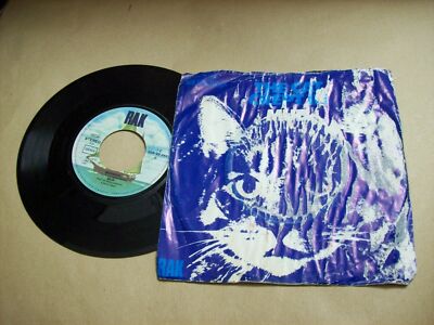MUD THE CAT CREPT IN / MORNING RAK 1C 006 95 342 45 UMDREHUNGEN 1974