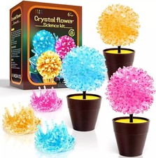 Steam Crystal Flower Science Kit - New