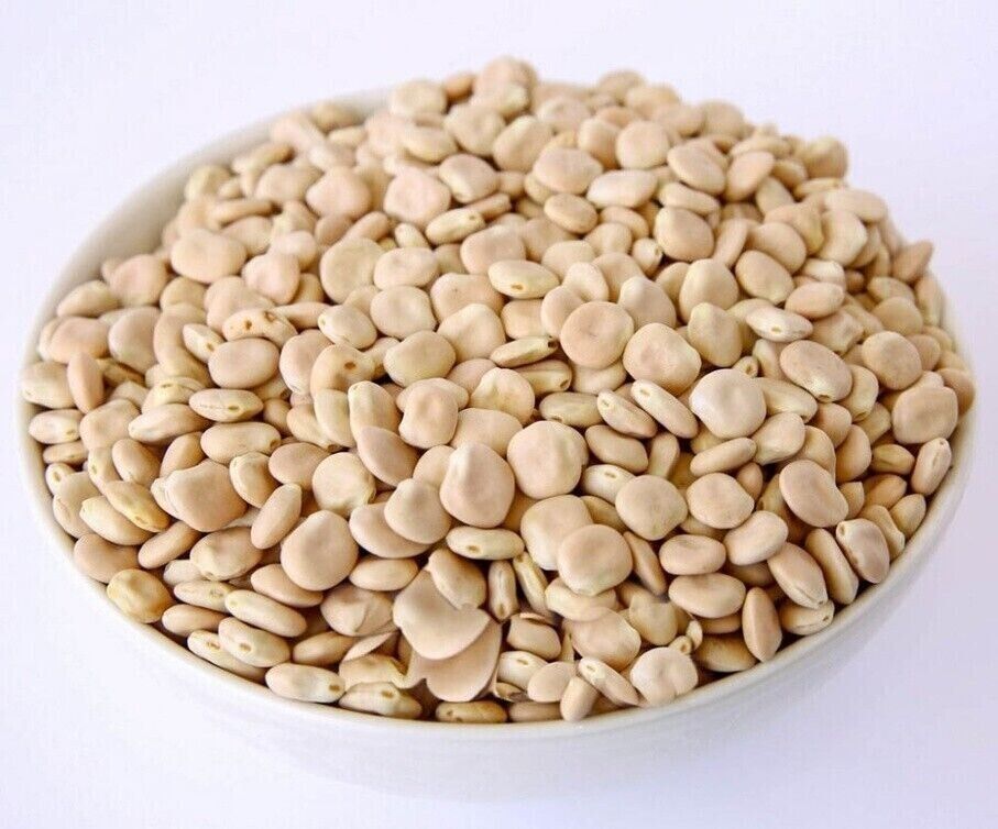 Bitter & sweet lupin lupini beans lupine Lupinus Alba Seeds ترمس