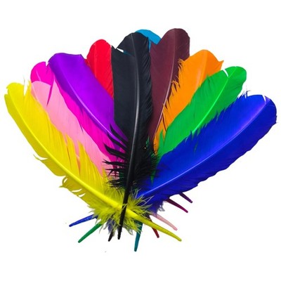 12 Pcs Colorful Turkey Feathers 10-12 Inch Turkish Feather for DIY Crafts Decor