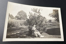 1940s Older Woman Lady Rocking Chair Outdoors Pine Tree Original Old Photo P12o8