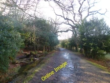 Photo 6x4 Eyeworth, cycle route Fritham Running next to Howen Bottom, fro c2014