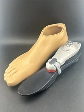 Ottobock Otto Bock 1m10 1m1O Prosthetic Foot Size 28 Category 2 Right Shell
