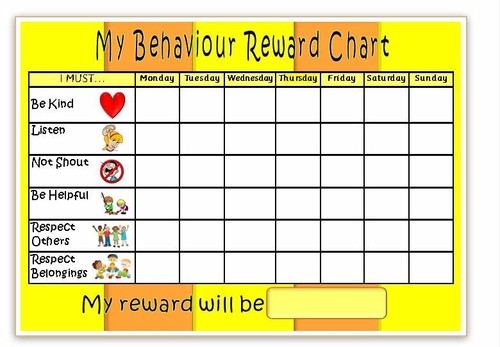 BEHAVIOUR REWARD CHART- MAGNETIC- 3 colours or u choose - FREE PEN ...