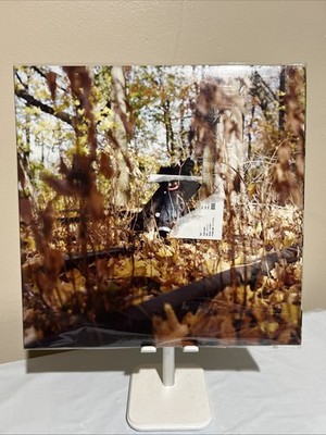 billy woods GOLLIWOG (2LP) Records & LPs for sale online | eBay