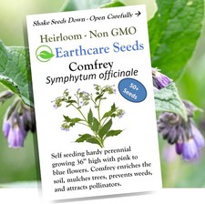True Comfrey 50 Seeds Symphytum officinale Non GMO, Heirloom Purple