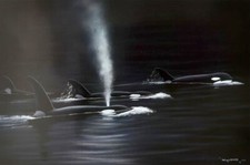 Wyland Ancient Orca Seas Hand Signed Limited Edition Art Whale lithograph COA