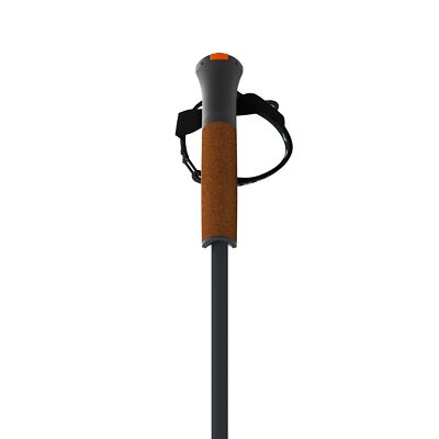Fischer One Way GT 13 Comp Mag Alpine Ski Poles, Grey/Flame, 115cm