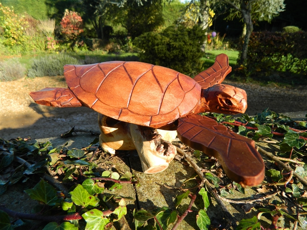 Turtle Carving - Hand Carved Wooden Turtle on Parasite Wood 20cm