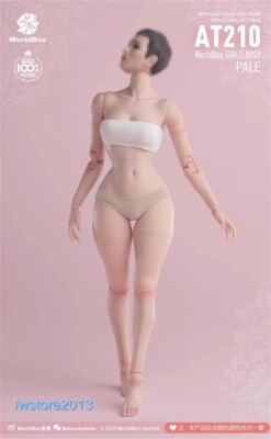 Stock Worldbox 1/6 AT210 Pale Skin Slender Waist 12'' Female Action Figure Body