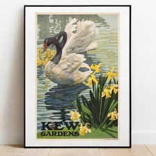 Poster art Kew Gardens Swans by Tafani fine art print vintage gallery wall art